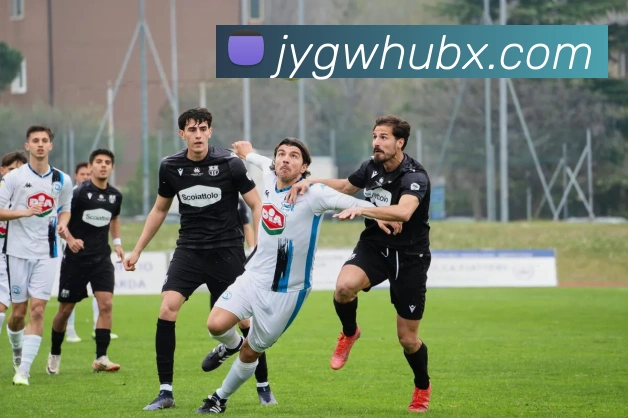 九游官网品牌故事