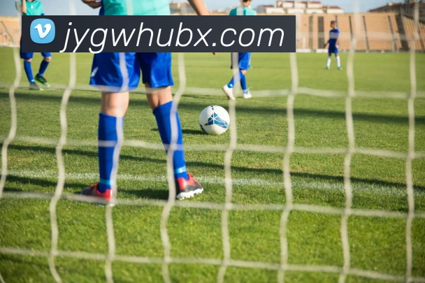 九游官网服务体系